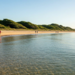 Estilo de Viagem Sustentável_ Como Curtir as Praias de SP com Consciência